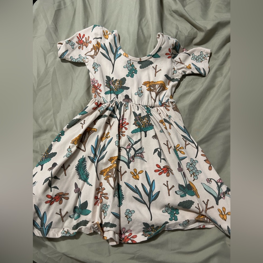 Alice & Ames toddler dress size 4T